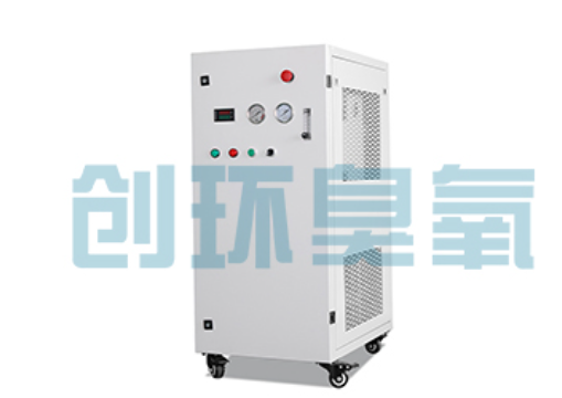 沙坪坝石斑鱼养殖水质调控完整指南：臭氧发生器配置与操作步骤