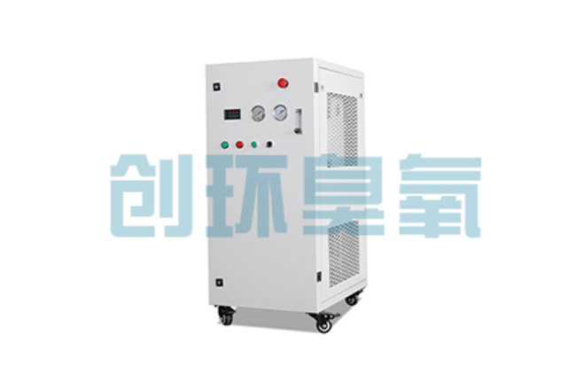 沙坪坝比传统换水更高效？臭氧发生器在石斑鱼养殖中的水质净化原理解析