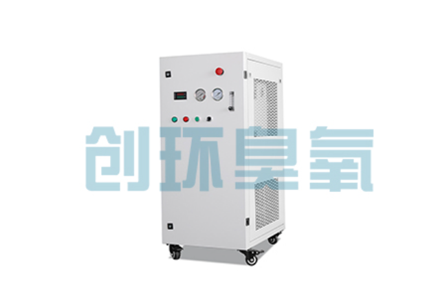 沙坪坝比传统换水更高效？臭氧发生器在石斑鱼养殖中的水质净化原理解析